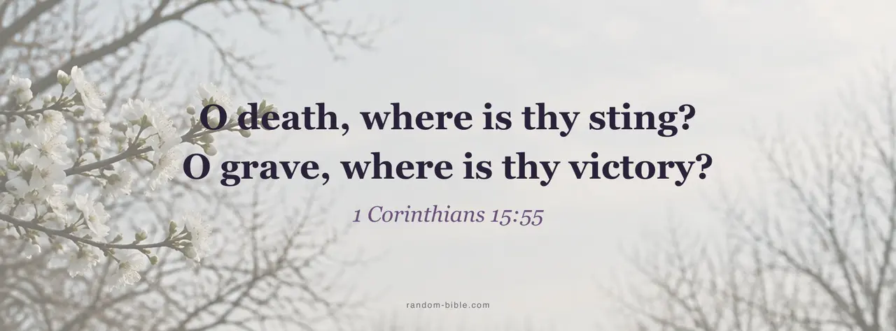 1 Corinthians 15:55 Facebook cover: "O death, where is thy sting? O grave, where is thy victory?"