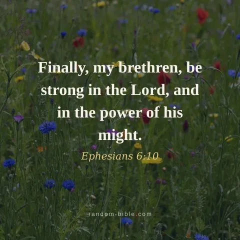 Finally, my brethren, be strong in the Lord, and in the power of his might. — Ephesians 6:10