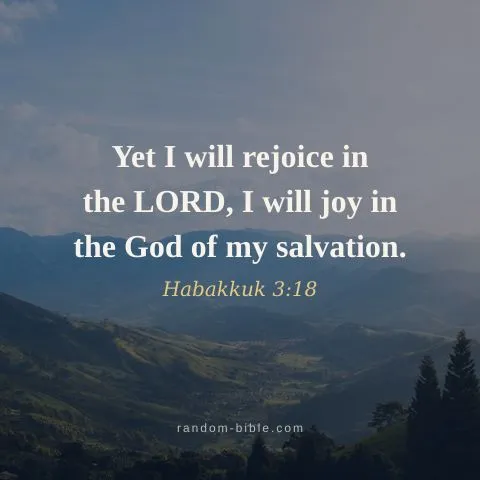 Yet I will rejoice in the LORD, I will joy in the God of my salvation. — Habakkuk 3:18