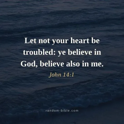 Let not your heart be troubled: ye believe in God, believe also in me. — John 14:1