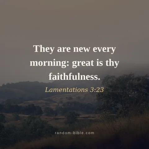 They are new every morning: great is thy faithfulness. — Lamentations 3:23