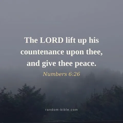 The LORD lift up his countenance upon thee, and give thee peace. — Numbers 6:26