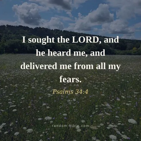 I sought the LORD, and he heard me, and delivered me from all my fears. — Psalms 34:4