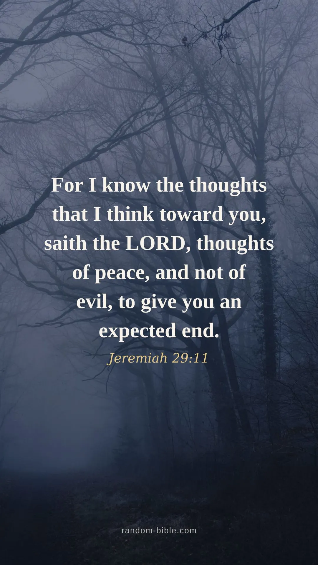 Jeremiah 29:11 Bible verse wallpaper