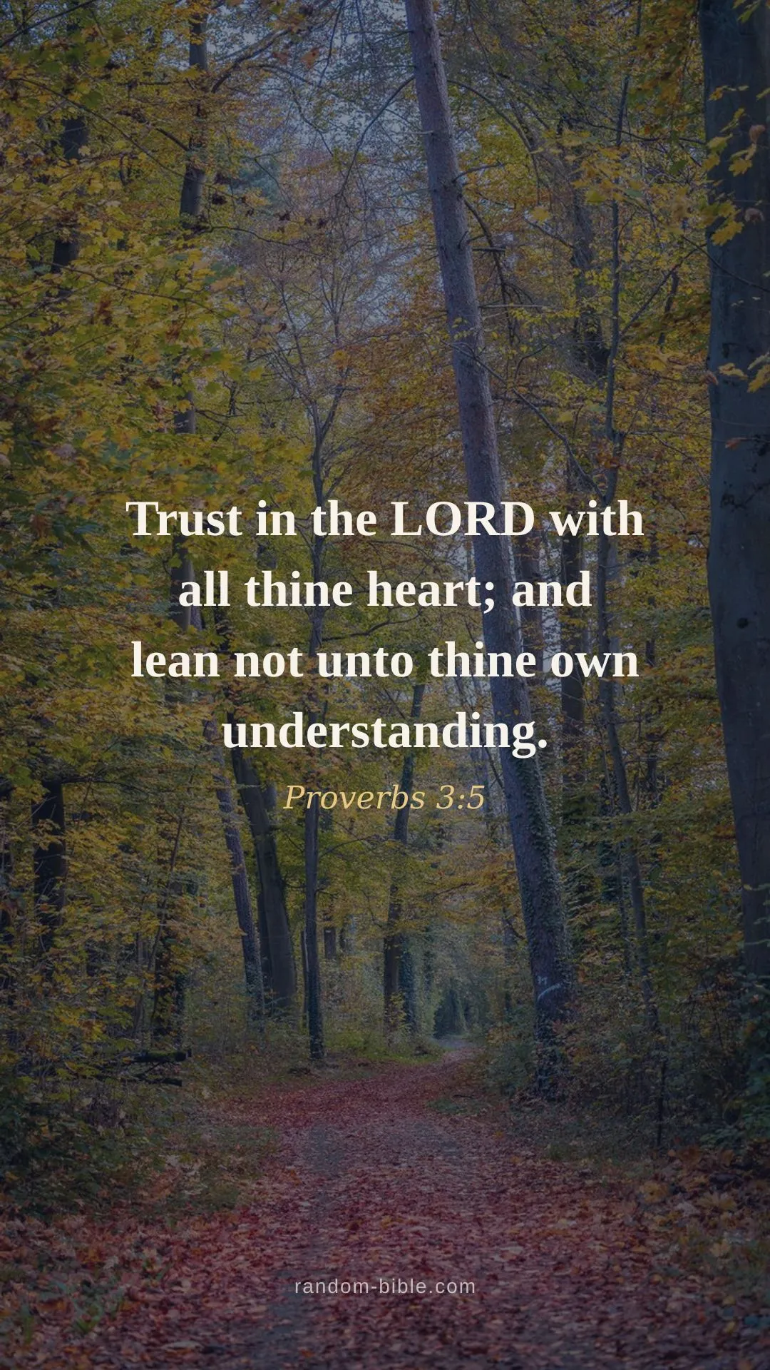 Proverbs 3:5 — lock screen Bible verse wallpaper