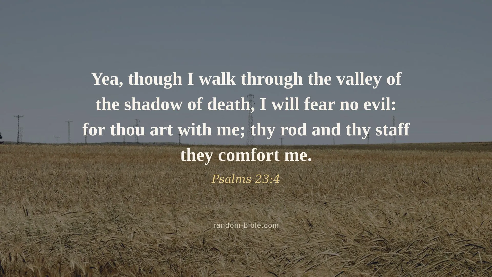 Psalms 23:4 — Bible verse wallpaper