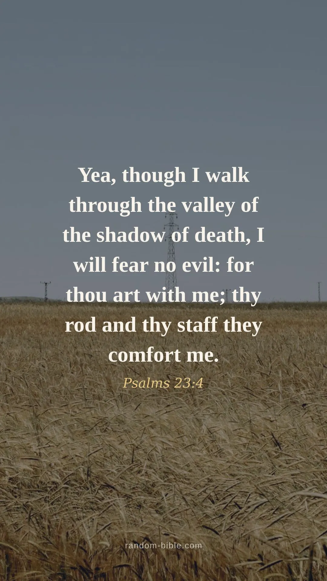 Psalms 23:4 — Bible verse wallpaper