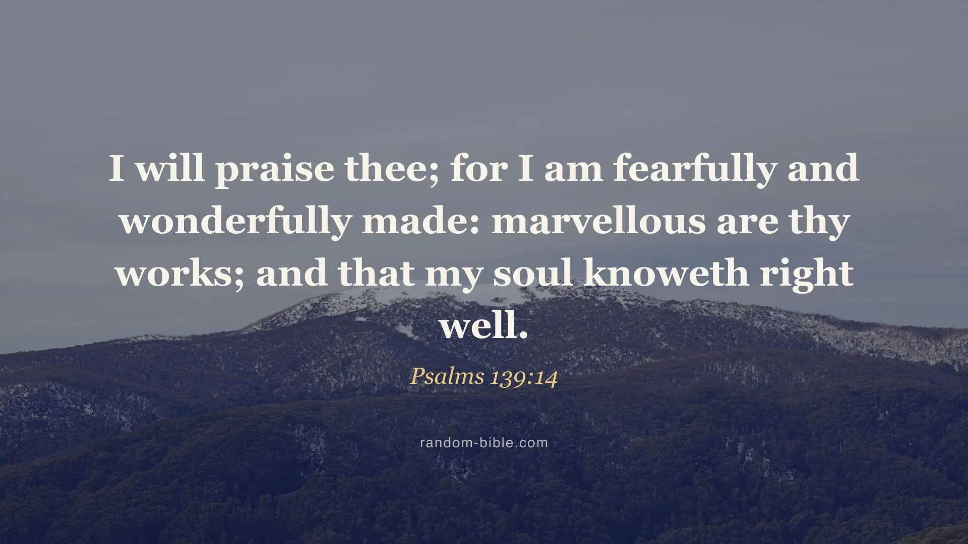 “I will praise thee…” (Psalms 139:14) over a photograph, desktop size