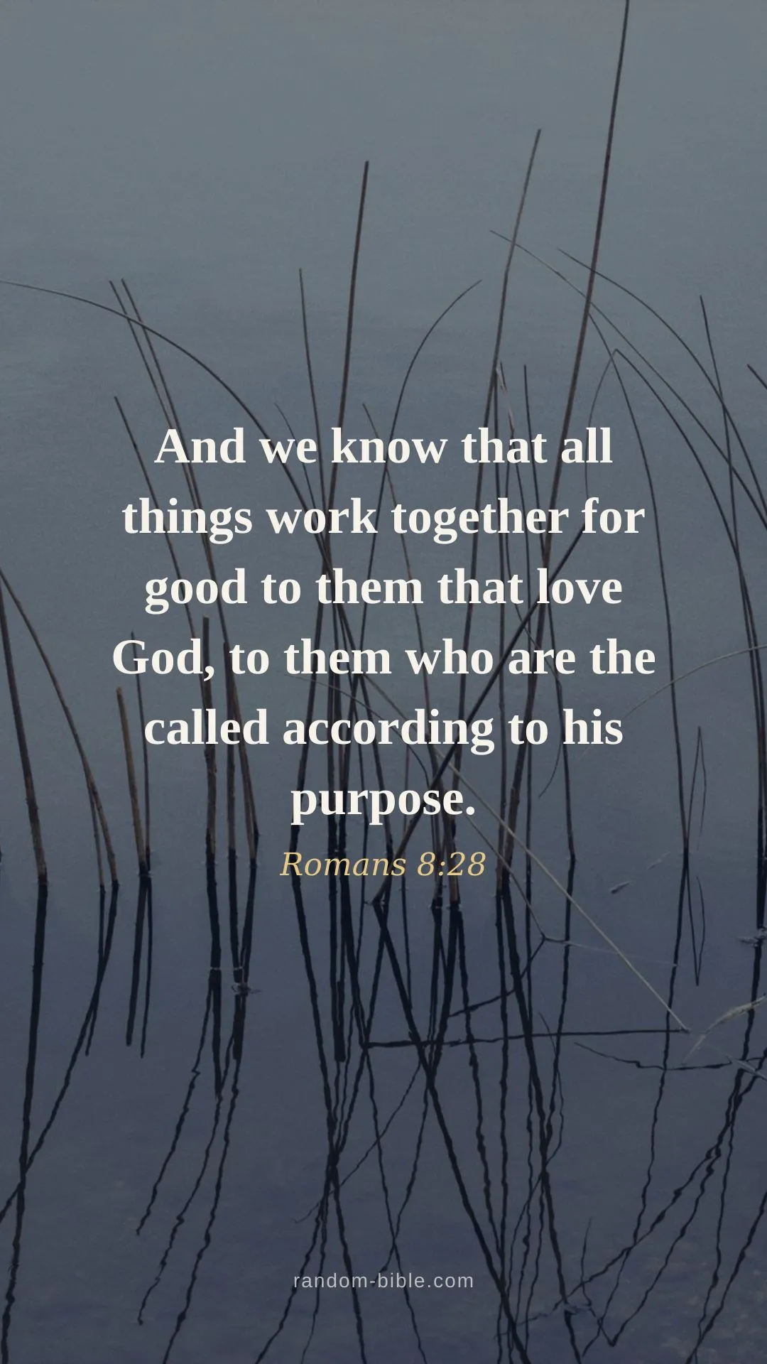 Romans 8:28 — Bible verse wallpaper